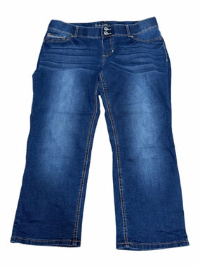 Ariya Jeans 15/16 Dark Wash Bootcut Stretch Jeans Double Button Plus Size